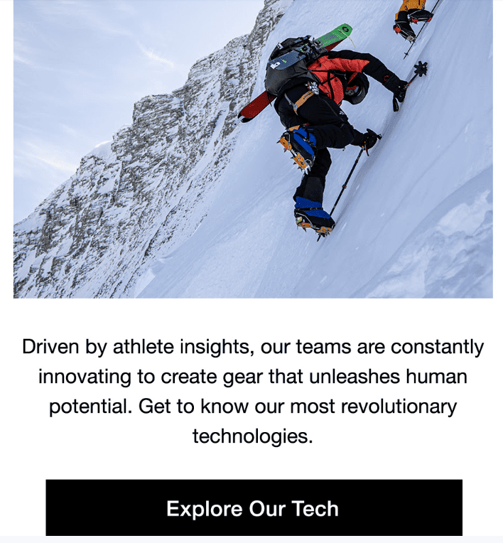 thank you email example the north face 2
